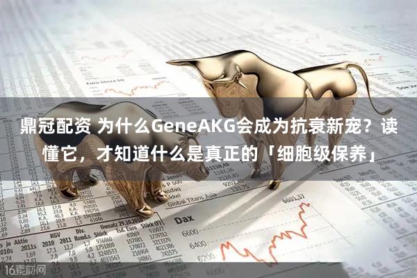 鼎冠配资 为什么GeneAKG会成为抗衰新宠？读懂它，才知道什么是真正的「细胞级保养」