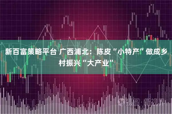 新百富策略平台 广西浦北：陈皮“小特产”做成乡村振兴“大产业”